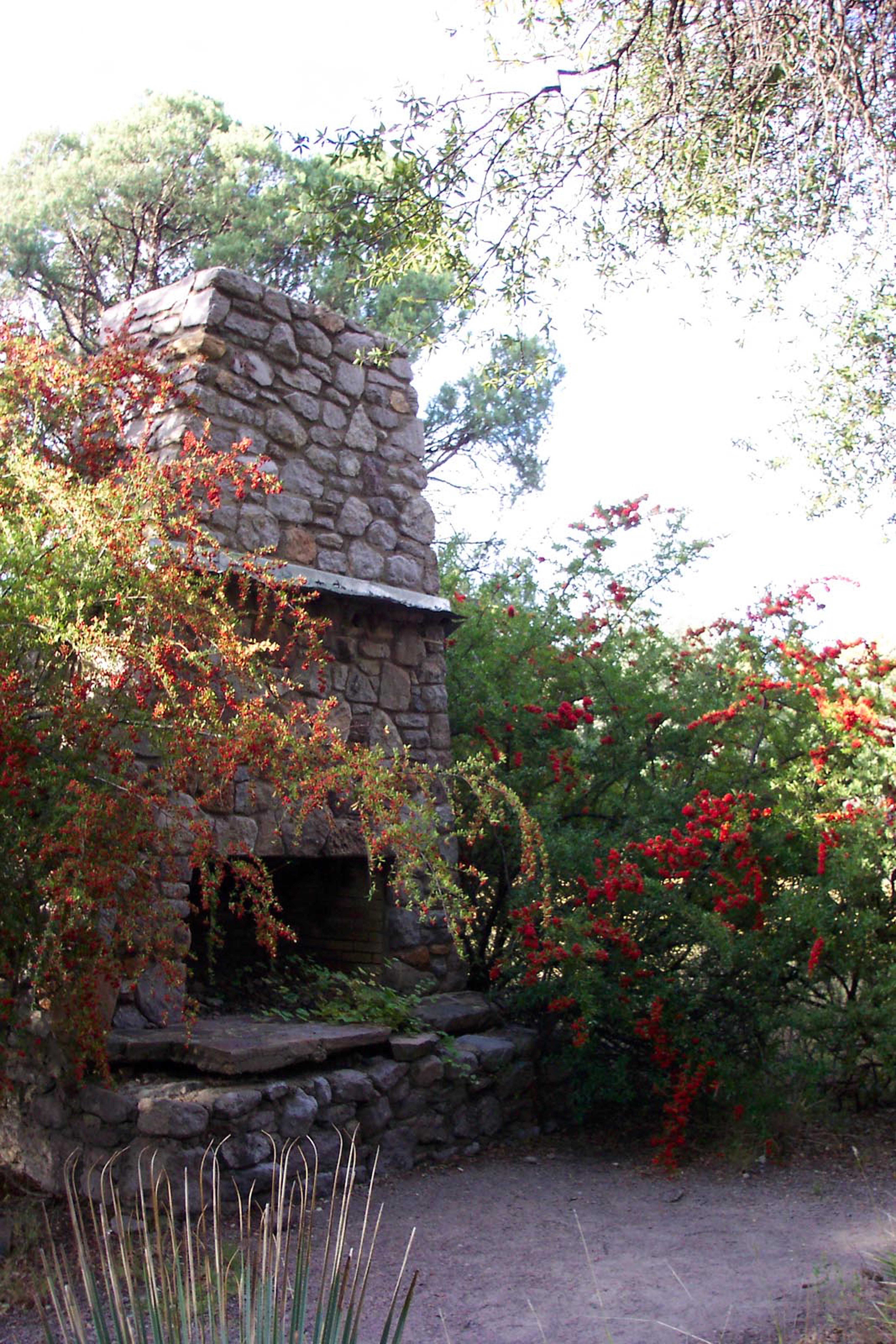 A rustic outdoor stone fireplace stands among dense greenery, partially covered by branches.