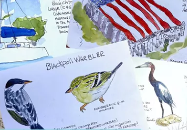 Drawings of birds, a sailboat, and a flag loosely stacked on top of each other.