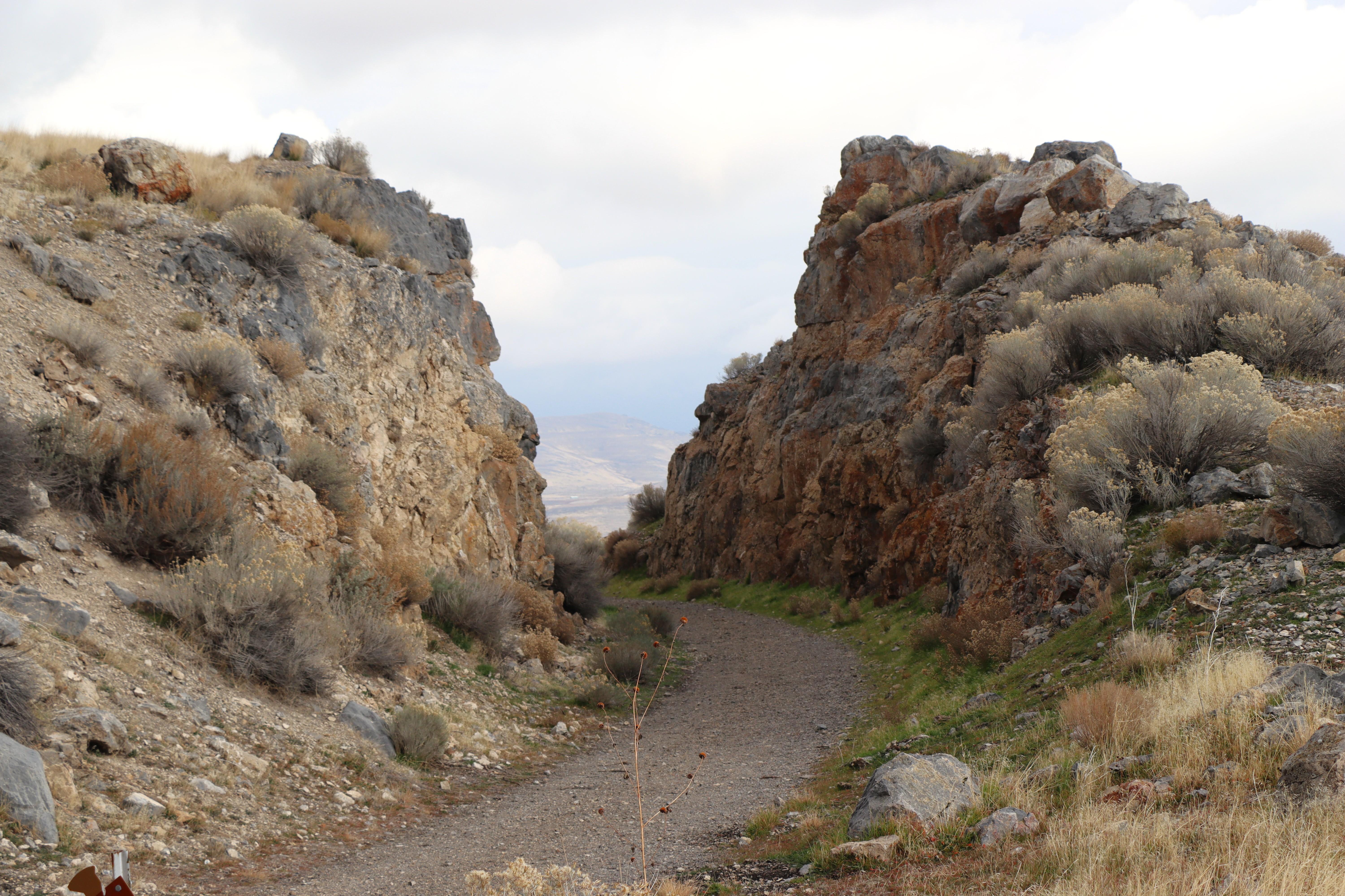 BIG FILL TRAIL CUT