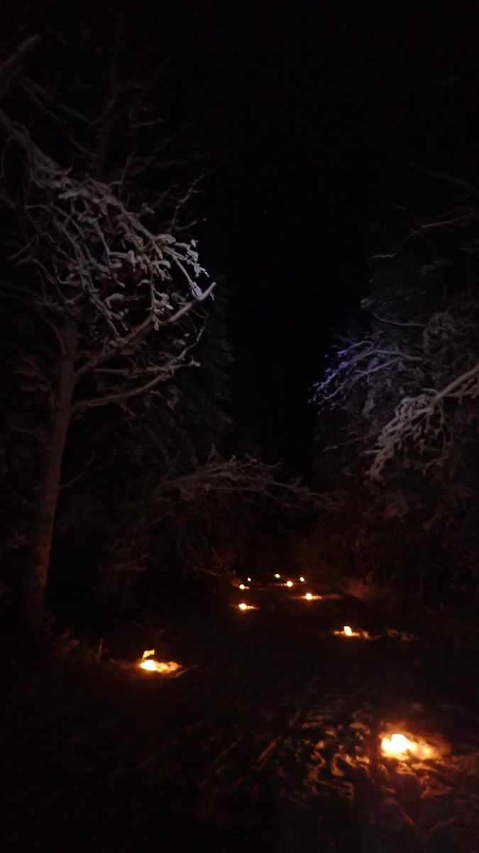 snowy forest lit by small candles