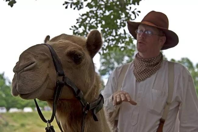 Camel with man in white shirt and brown hat standing behind