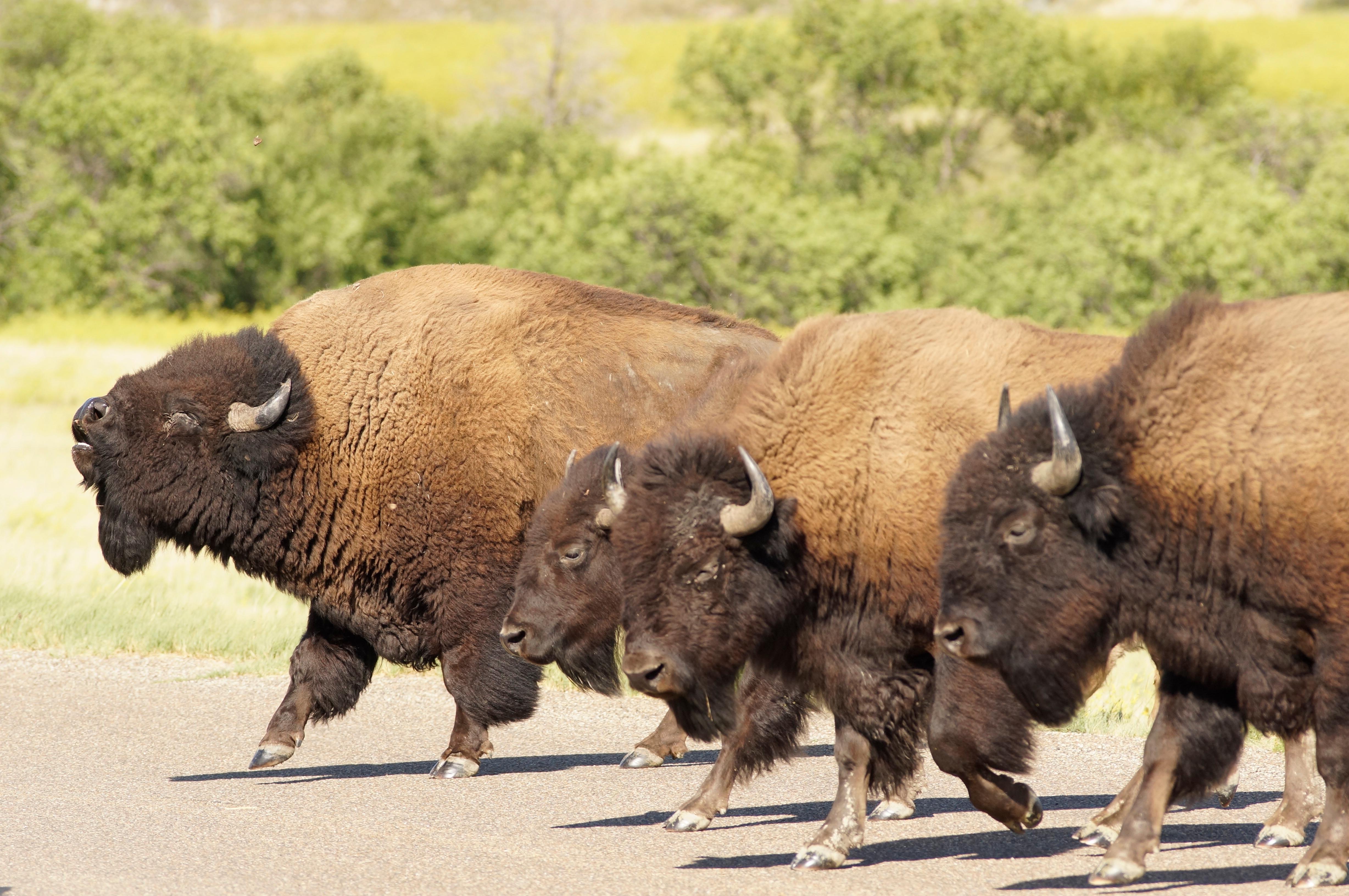 Event Details (U.S. National Park Service)