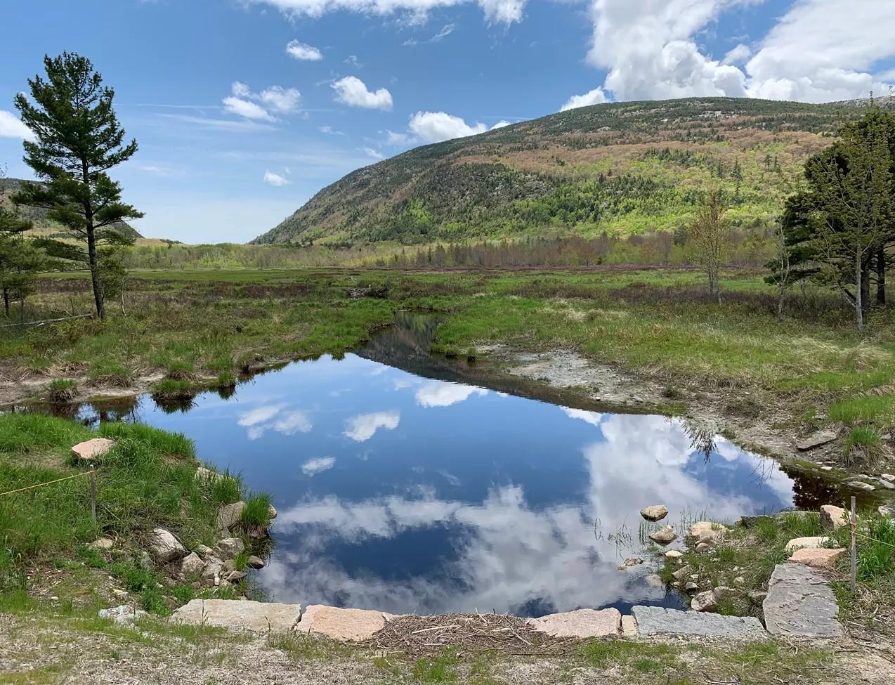 A small area of water in an open meadow with a mountain in the background