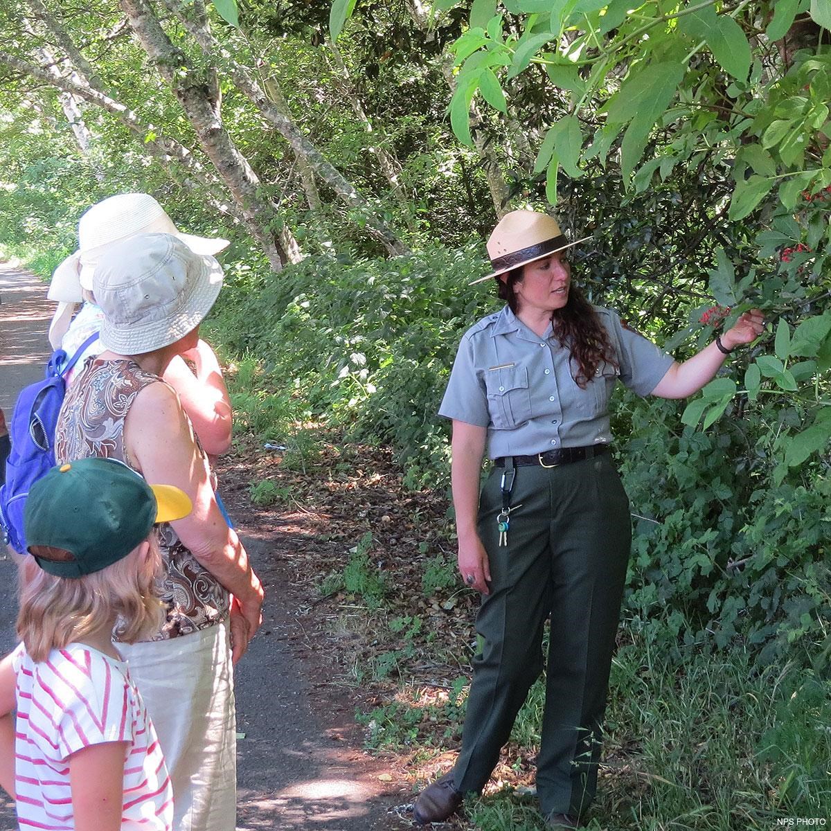 A park ranger point to some red elderberries while talking to visitors.