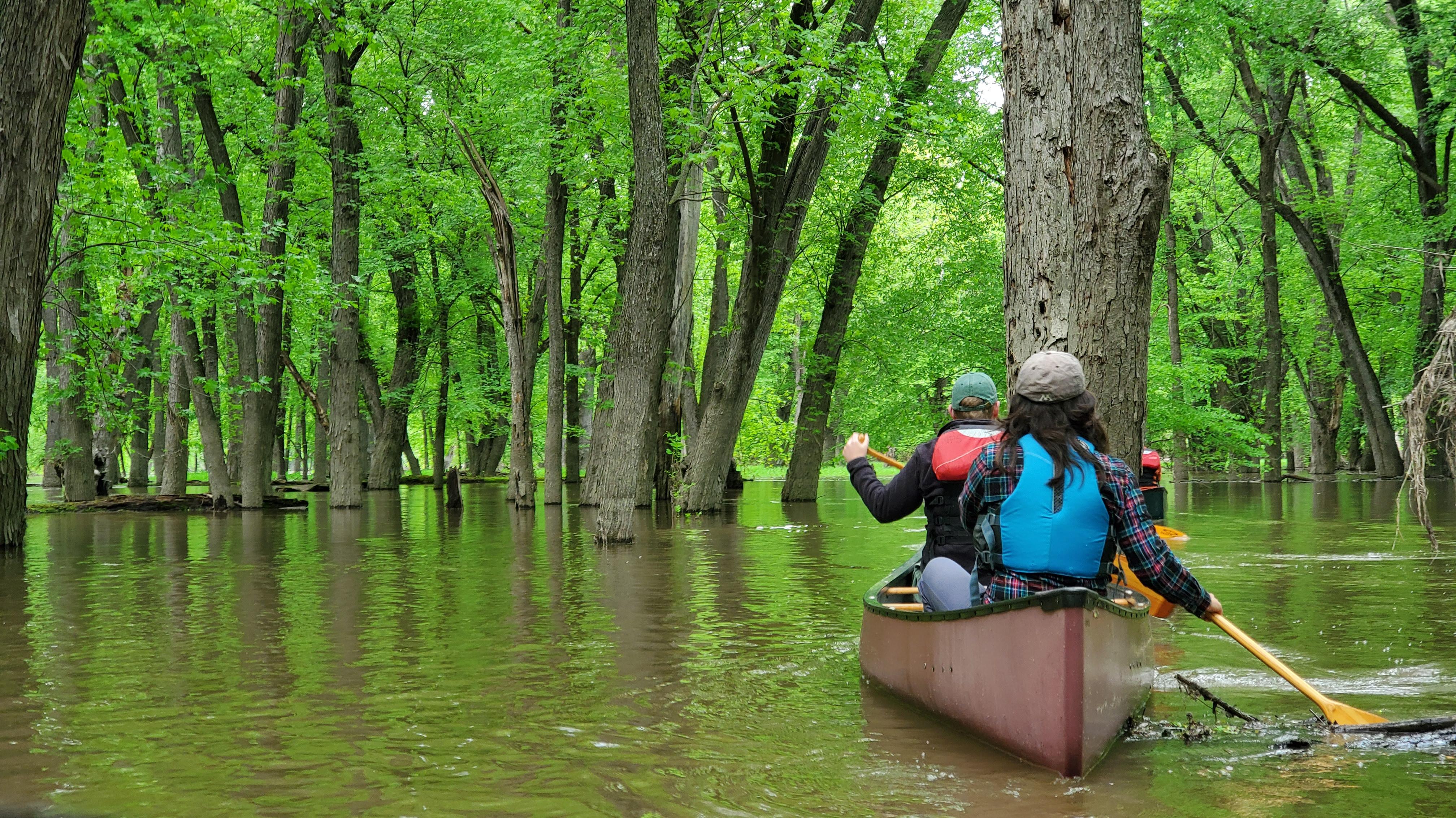 Paddle with a Ranger: Vermillion River Bottoms