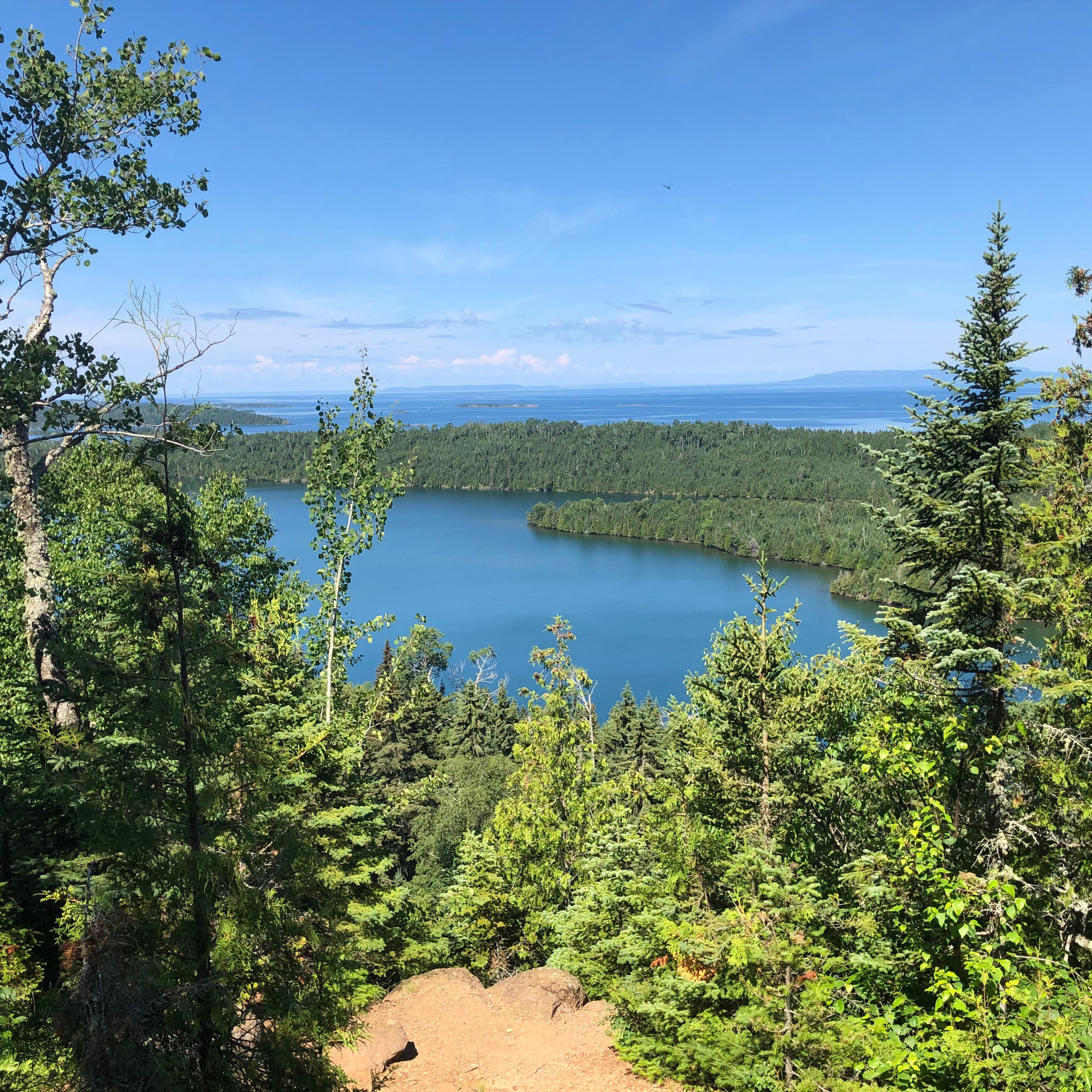 A scenic view of a forest lake, surrounded by pine trees and bright blue skies.