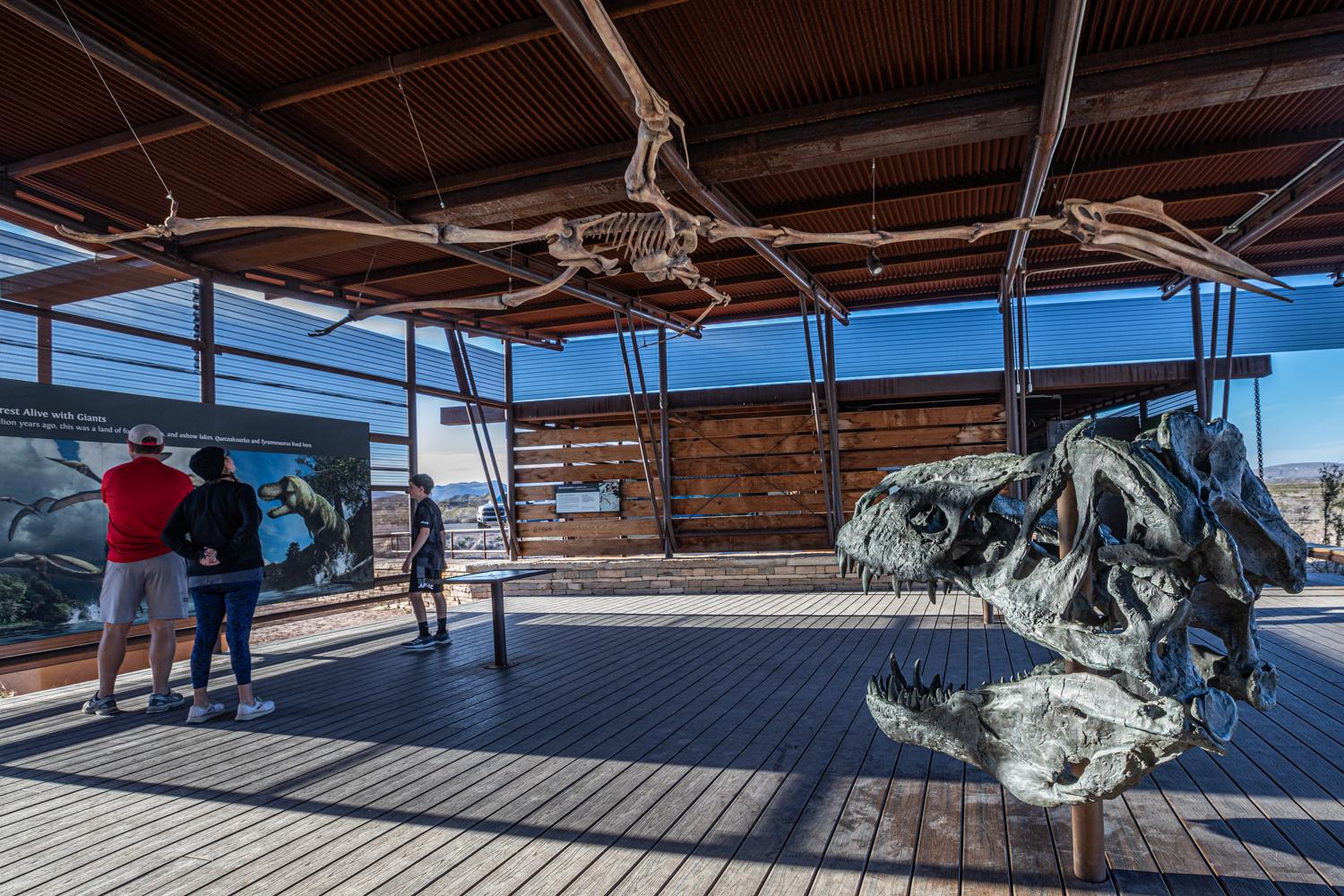A T-Rex skull and a Quetzalcoatlus skeleton surround a pair of people reading an exhibit.