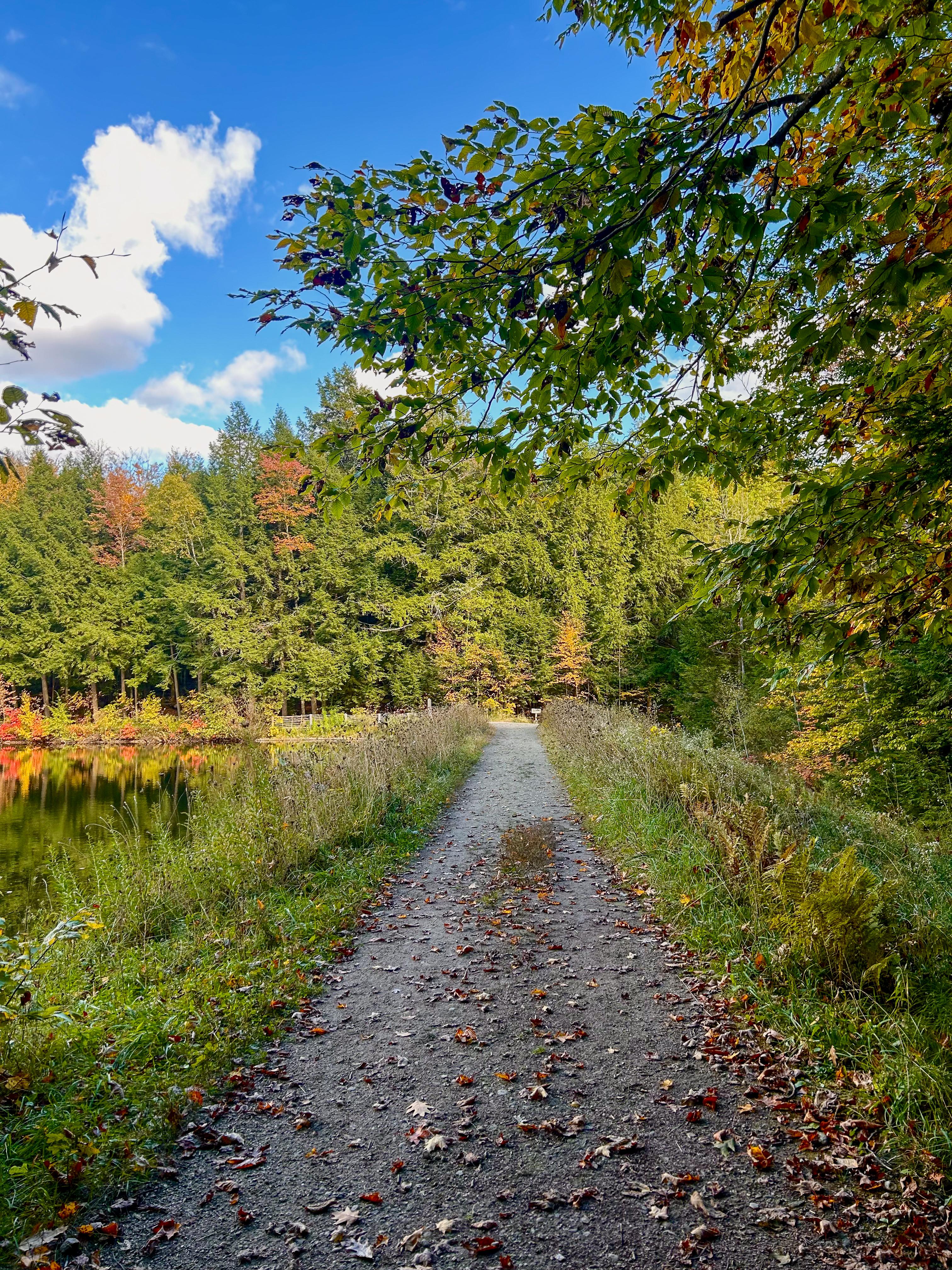 Fall Foliage Hike