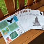 A stack of activity booklets fanned out across a wooden bench.
