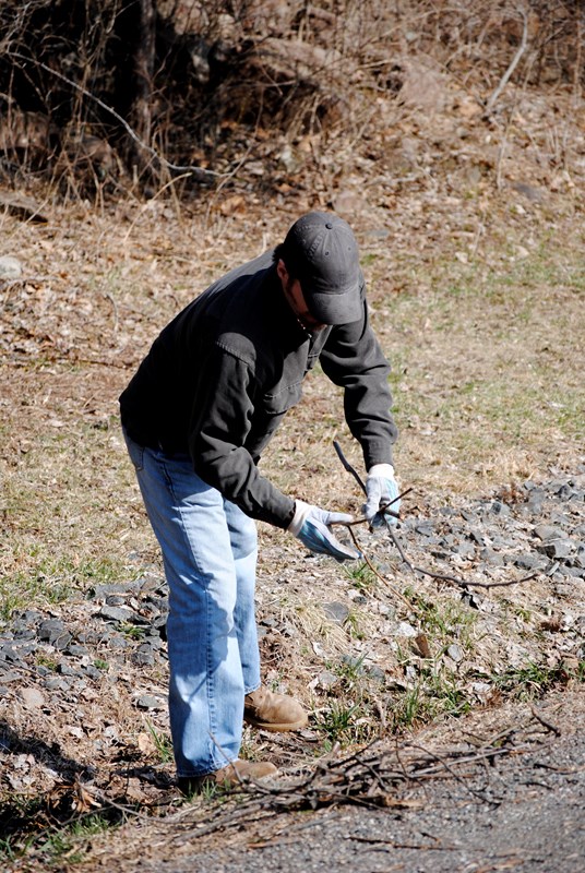 An adult volunteer picks up sticks