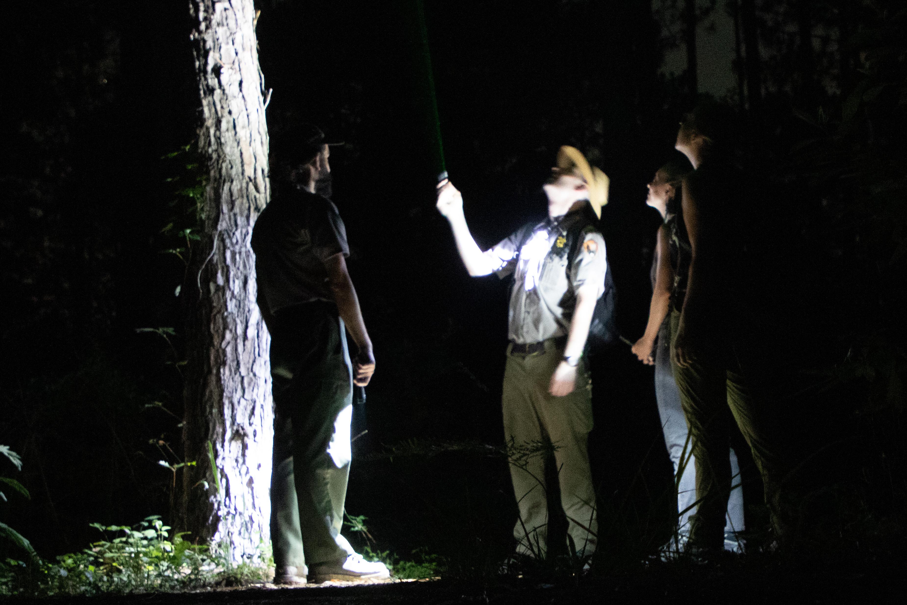 a nighttime scene with a park ranger, illuminated, pointing to the sky with a laser, next to others.