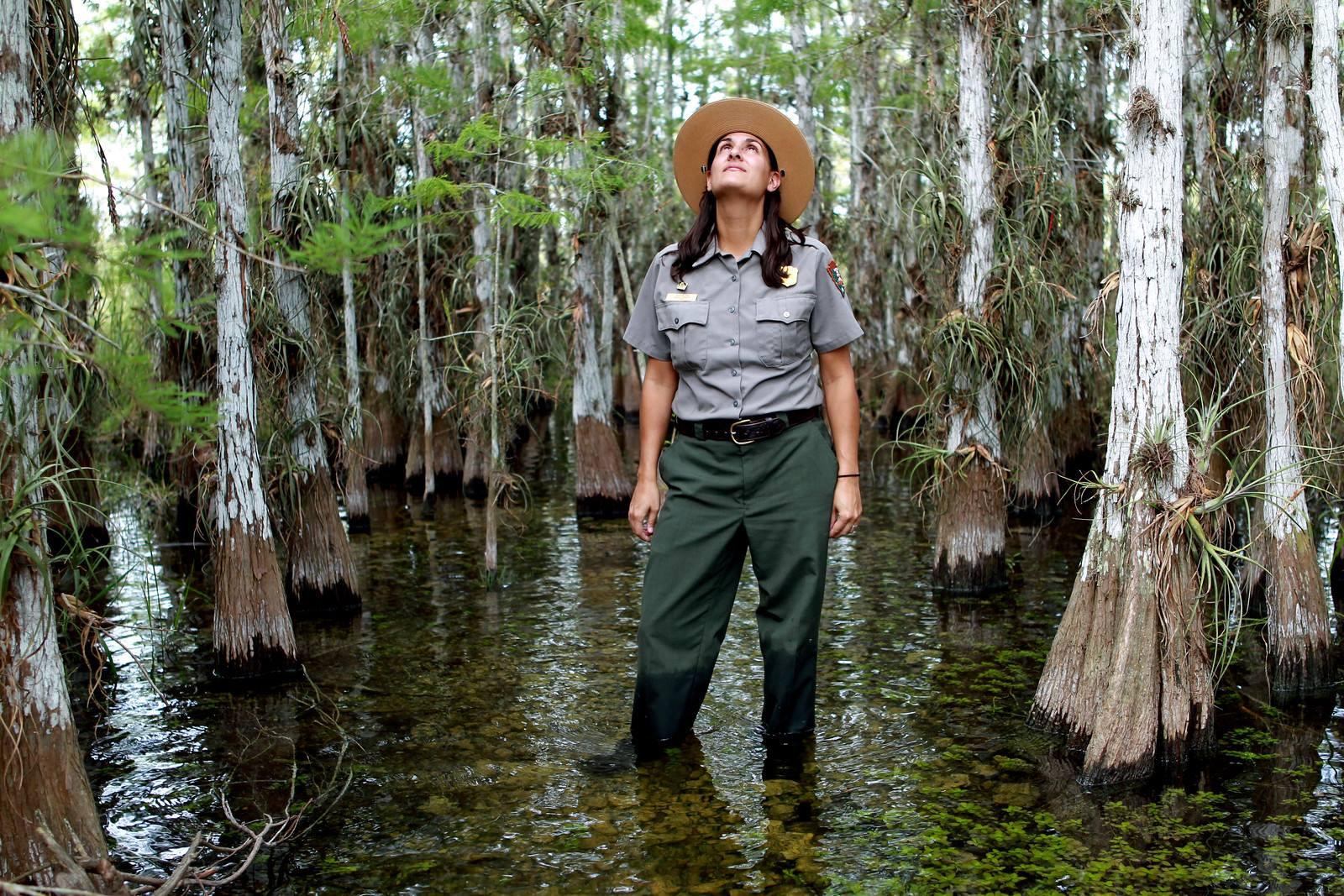 a ranger looking up, standing in water surrounded by trees