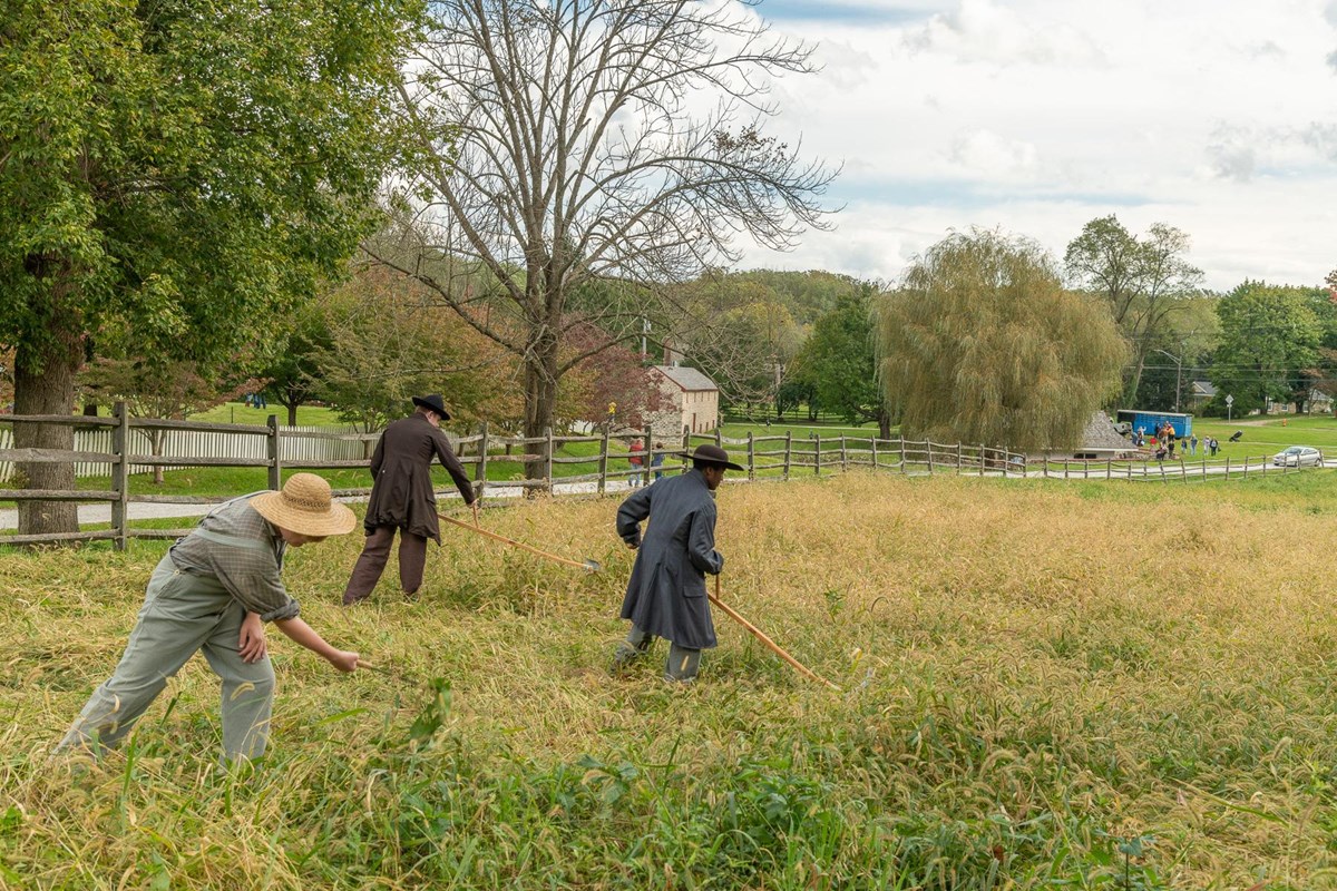 Three living history volunteers clear a field with 19th century farm equipment.