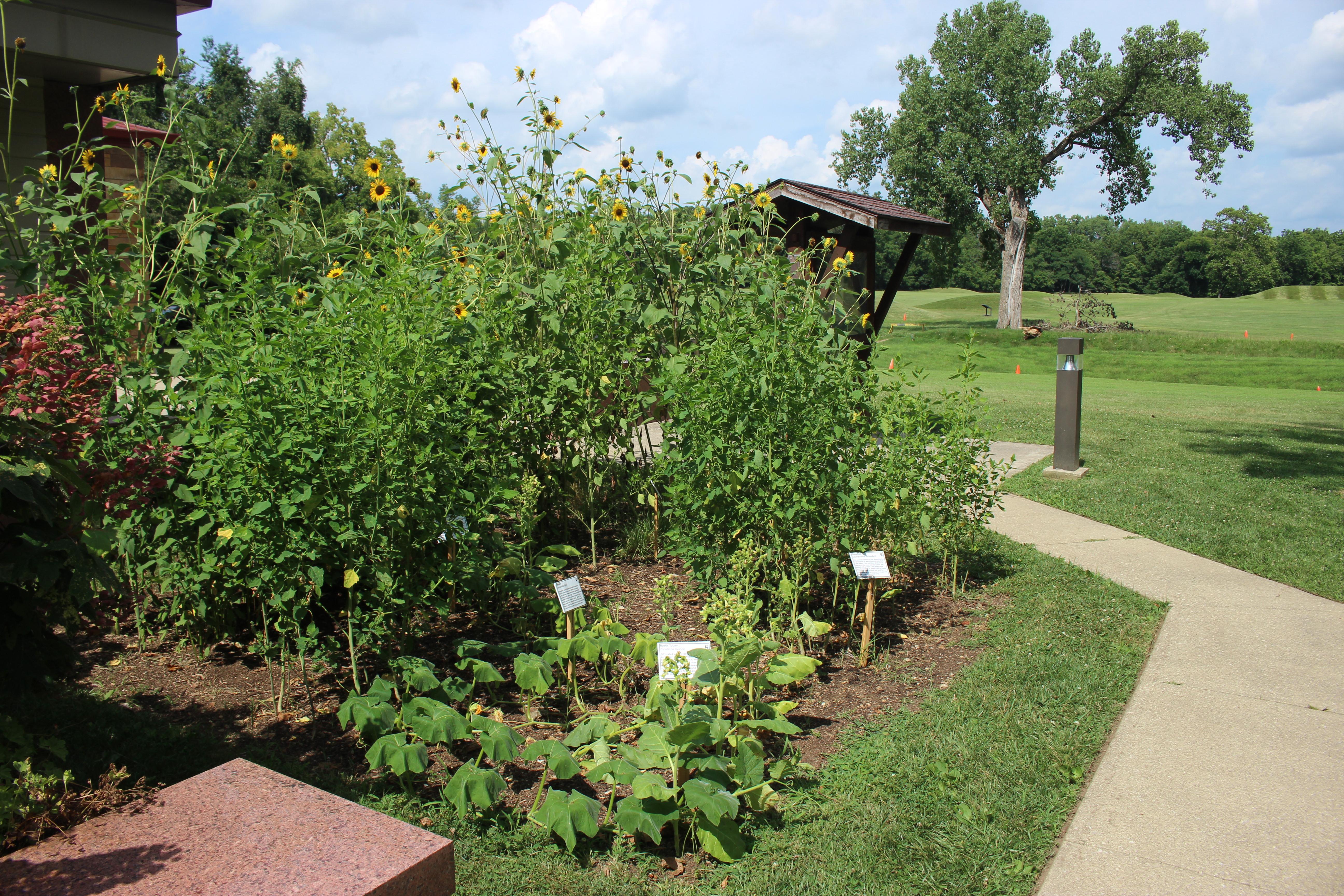 a lush garden is bordered by a sidewalk near a park building.