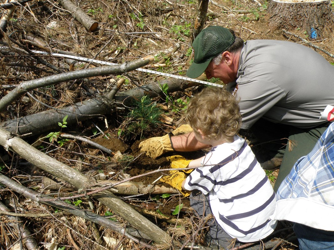 Trees and Streams with Ranger and child