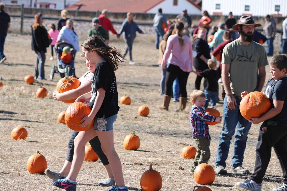 Children carry pumpkins across field of pumpkins