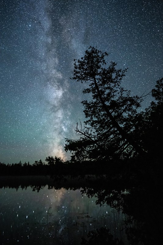 A night sky showing the Milky Way over water with tree silhouettes.