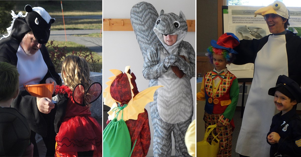Three photos of children and adults dressed in Halloween costumes.