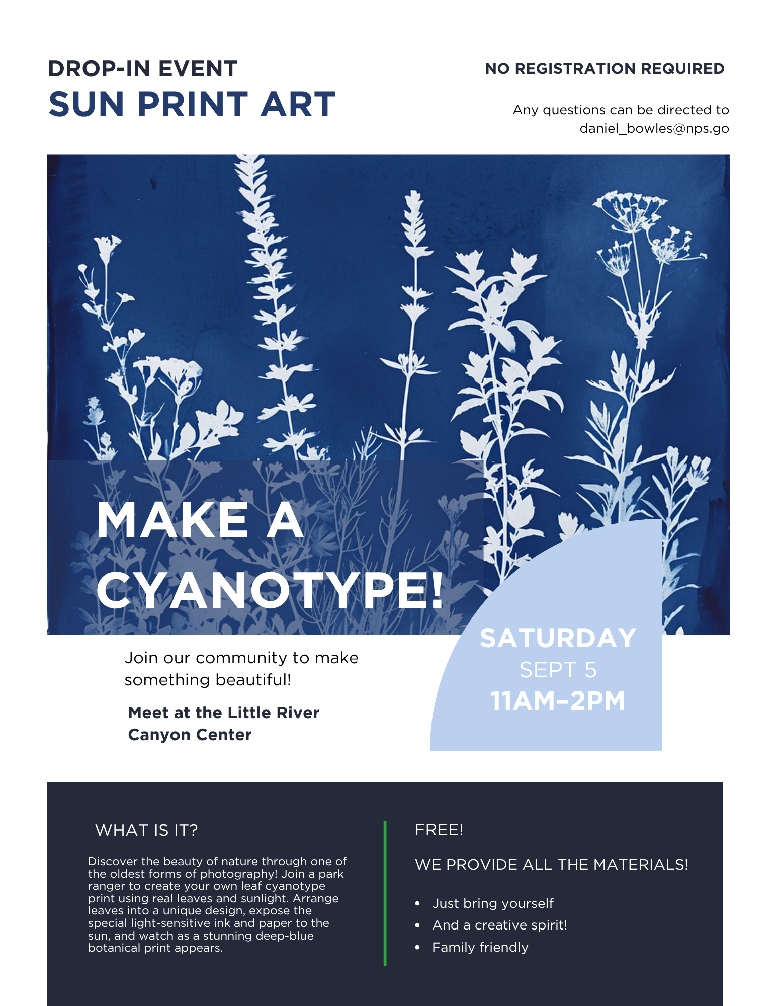 Sun Print Art - Cyanotypes
