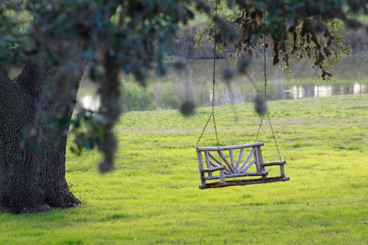 A rustic wood swing hangs from a tree along a river.