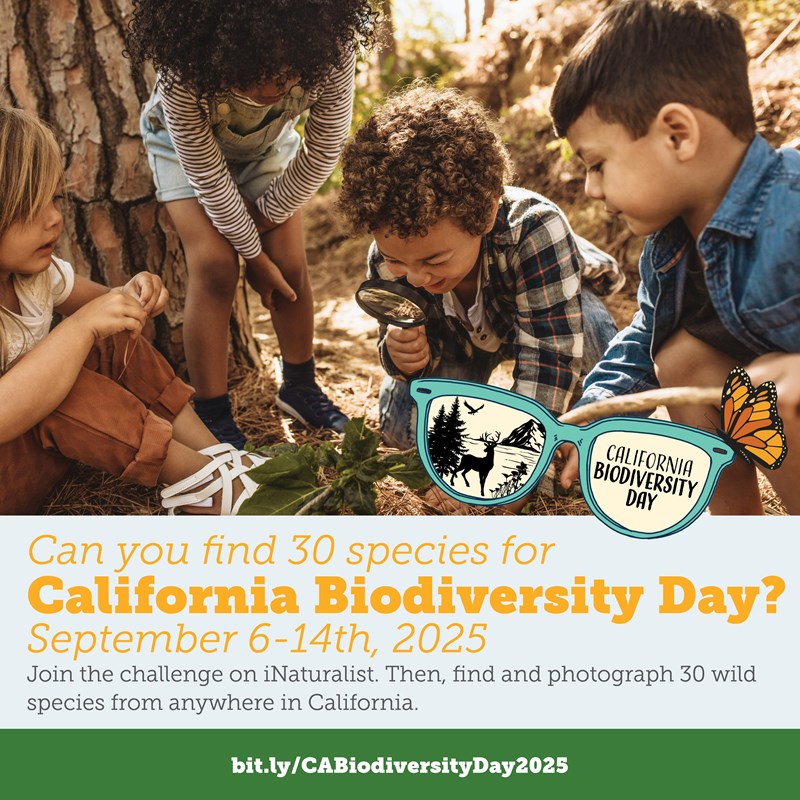 a graphic reads: can you find 30 species for california biodiversity day? September 6-14th, 2025