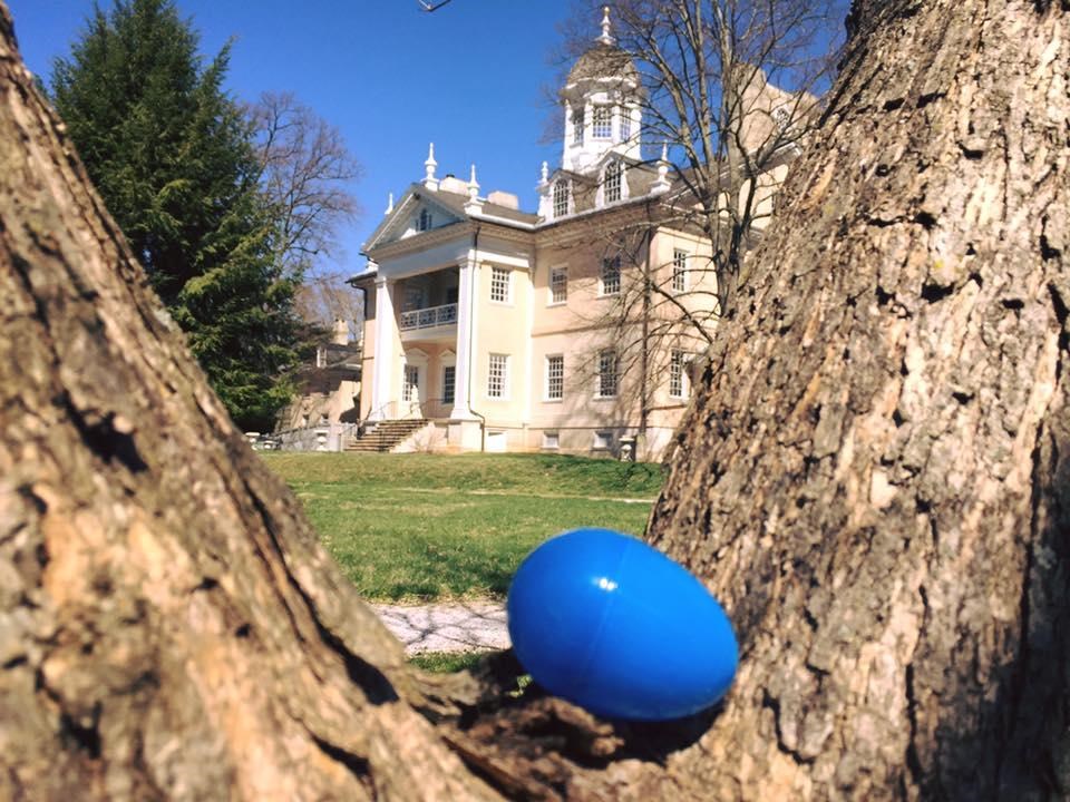 Plastic egg in tree