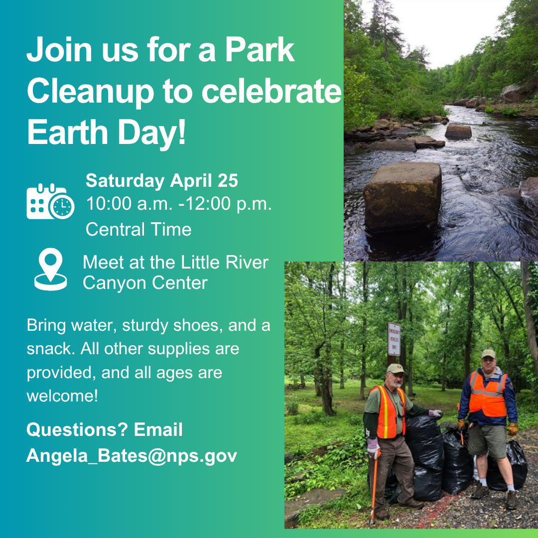 flyer on clean up