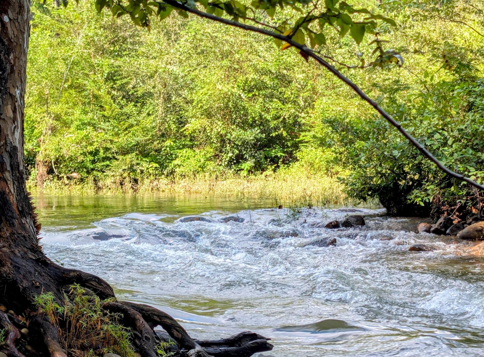 Junior Angler Fishing Day at Canyon Mouth Park