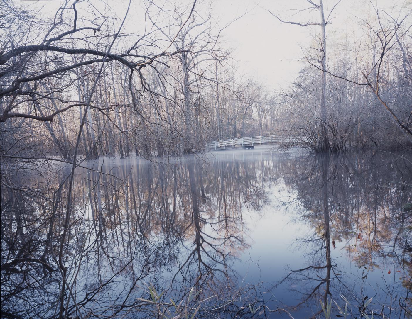 Photo of Moores Creek Bridge in the background on a winter day.