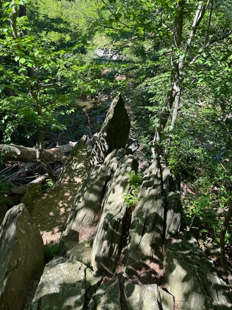 an outcropping of vertical rocks with trees overlooking a creek