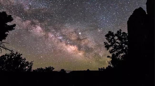 Milky Way surrounded by stars and trees