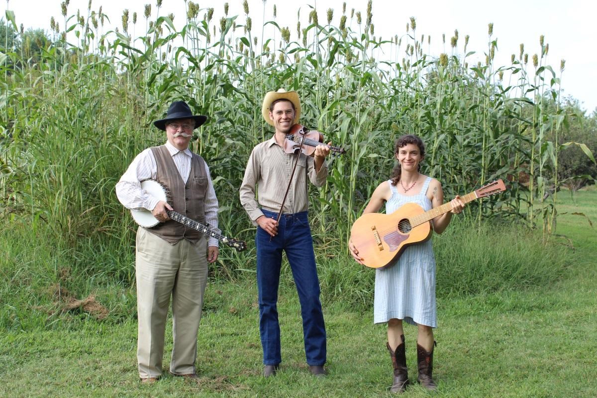 String band members standing in a field.