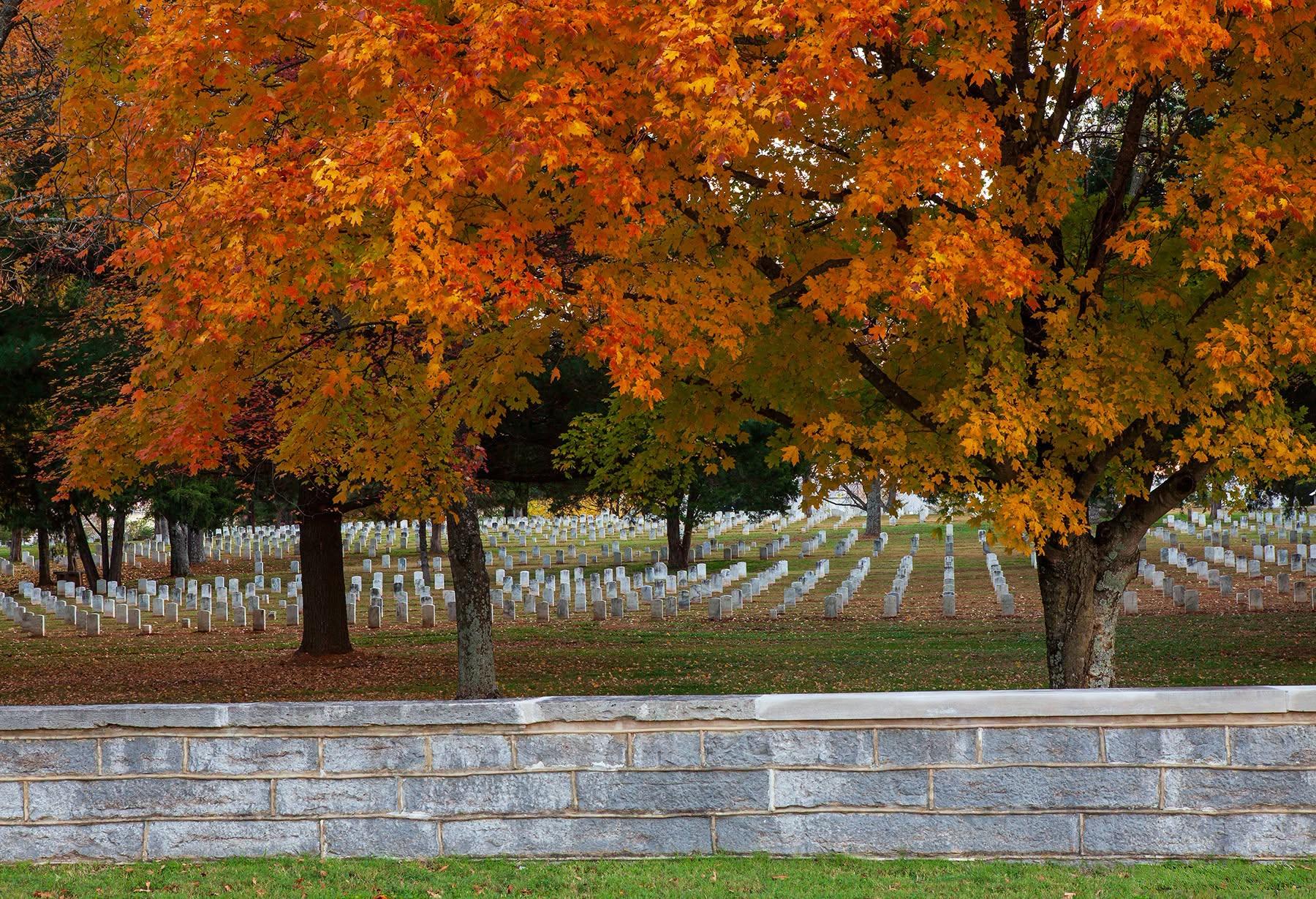 Trees with yellow and orange leaves stand behind a stone wall in fromt of rows of white headstones.