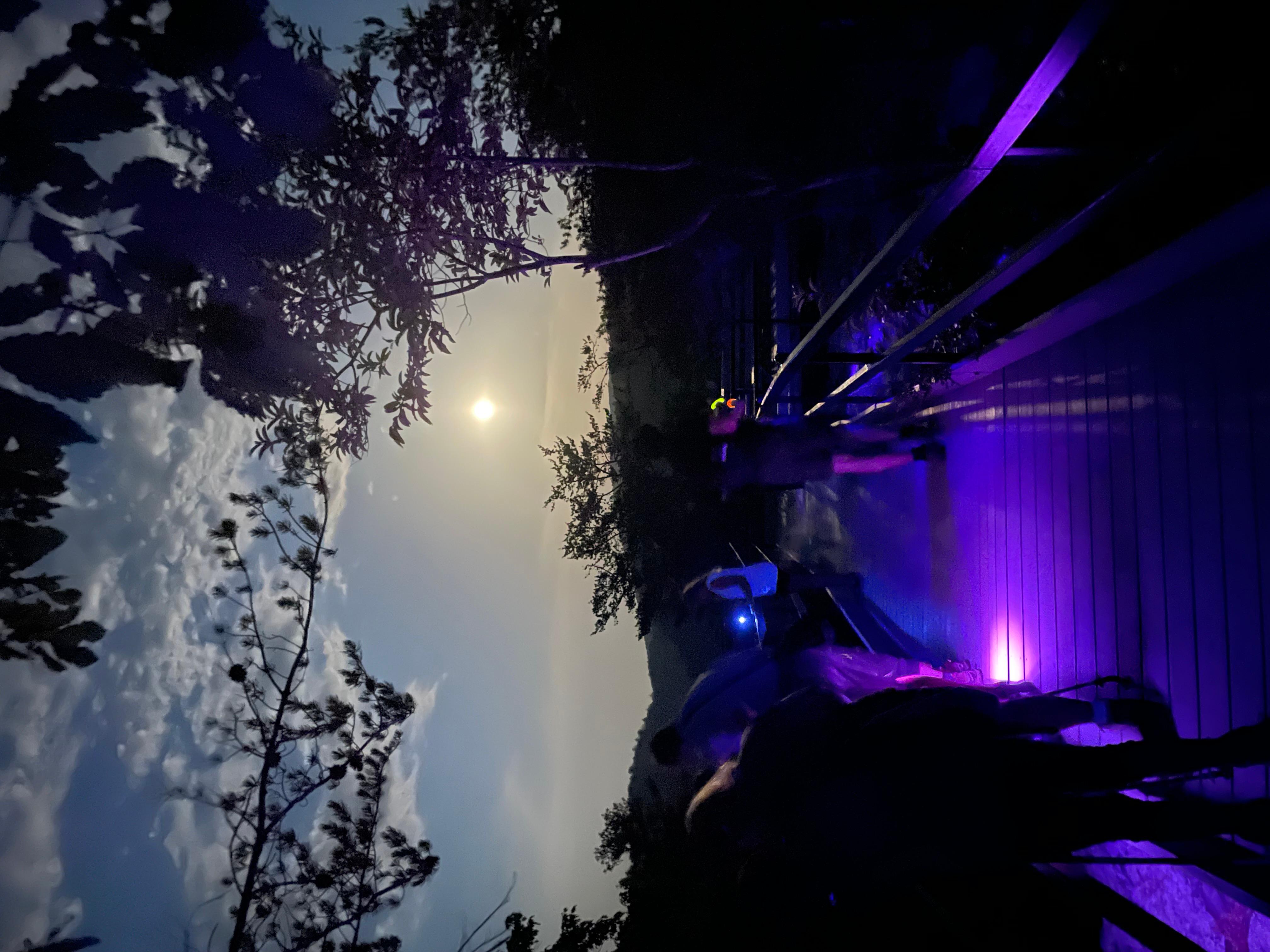 Visitors on a ranger-led black light night hike