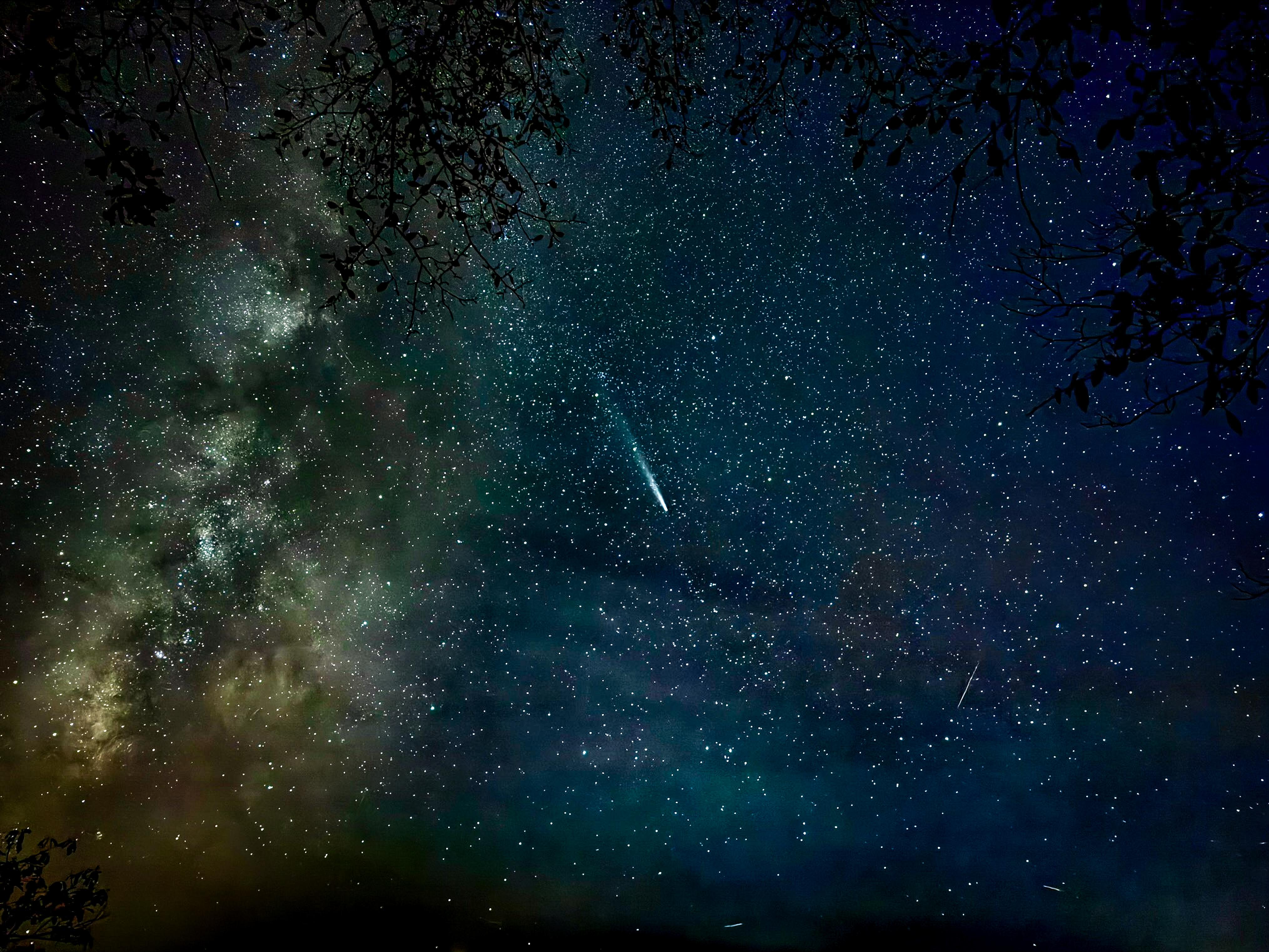 Bright comet hangs in a dense star-filled night sky with the Milky Way visible.
