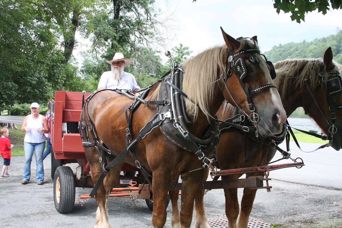 2 large brown horses are tethered to a red wooden cart. A man in a wide brimmed hat sits in wagon.