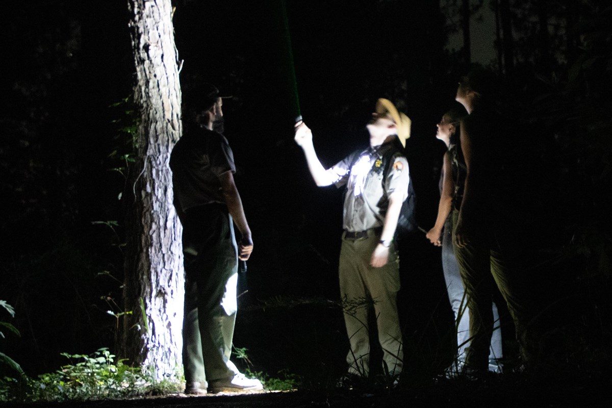 a park ranger points a laser upward as a few others look up into the sky at night