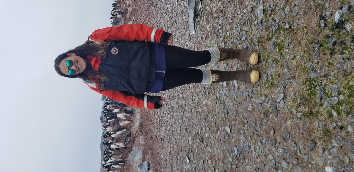 Kristen Sharpe with a colony of Adelie penguins on Torgerson Island during the Western Antarctic Pen