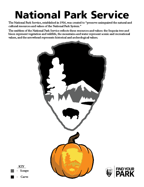 National Park Service arrowhead symbol with mountain, bison and tree.
