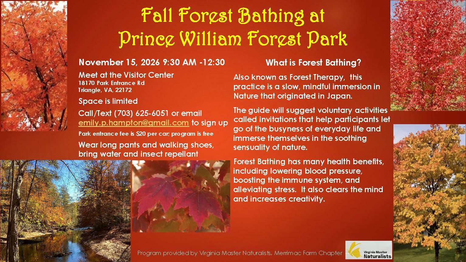Orange flyer with fall tree pictures advertising Forest Bathing in Prince William Forest Park