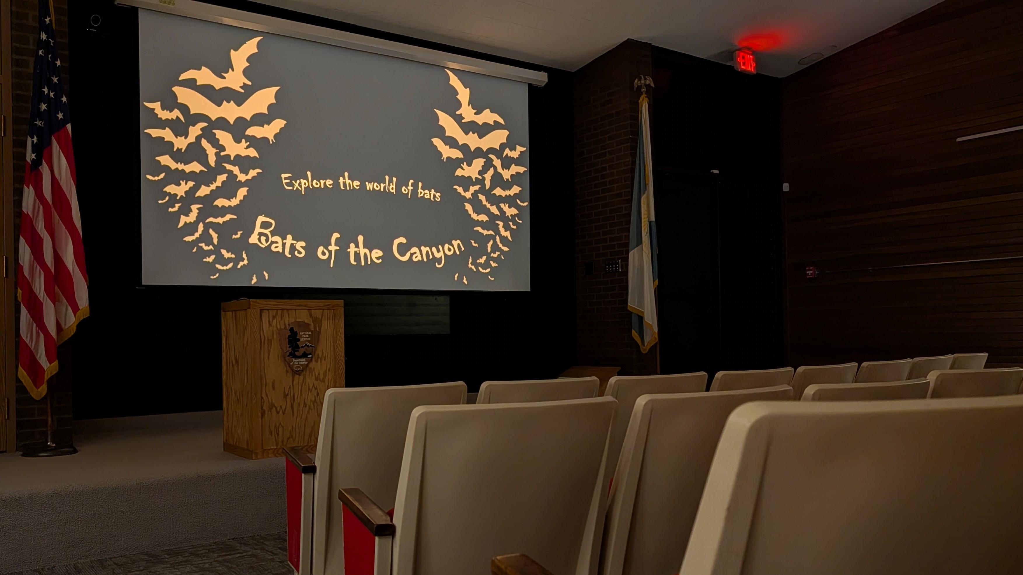 A screen reads, "Bats of the Canyon; Explore the world of bats" in an auditorium.