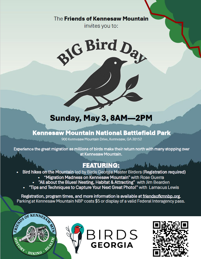Big Bird Day Event Flyer
