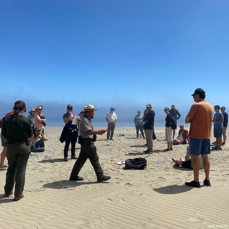 A ranger walks through a group of fifteen people on a sunny beach, while fog hangs on the horizon.