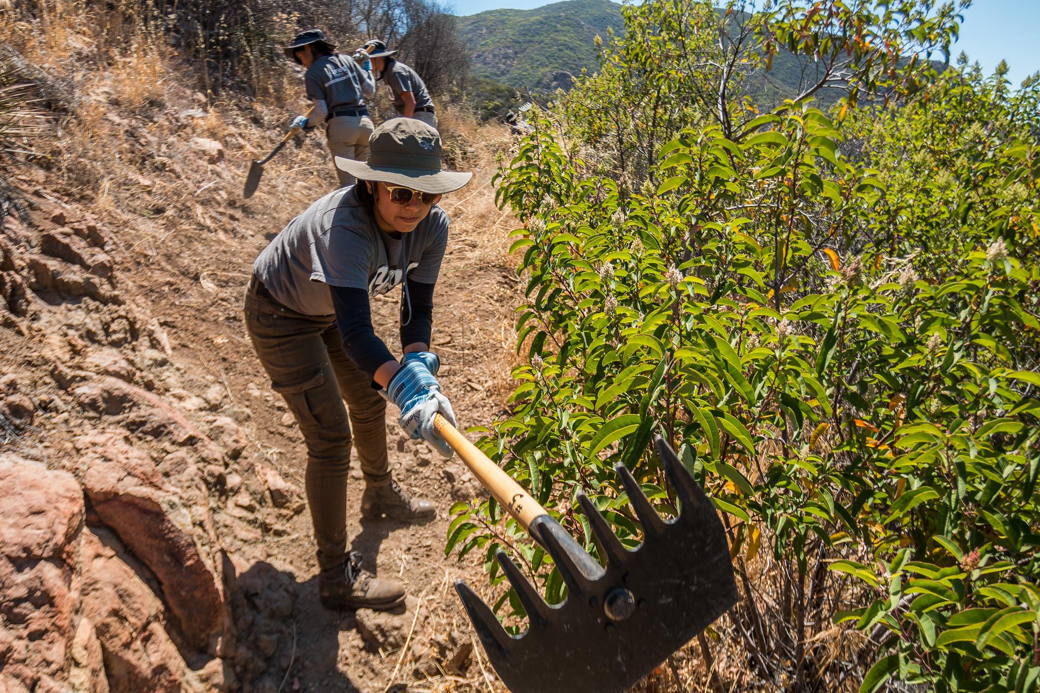 Youth interns at work on the trail