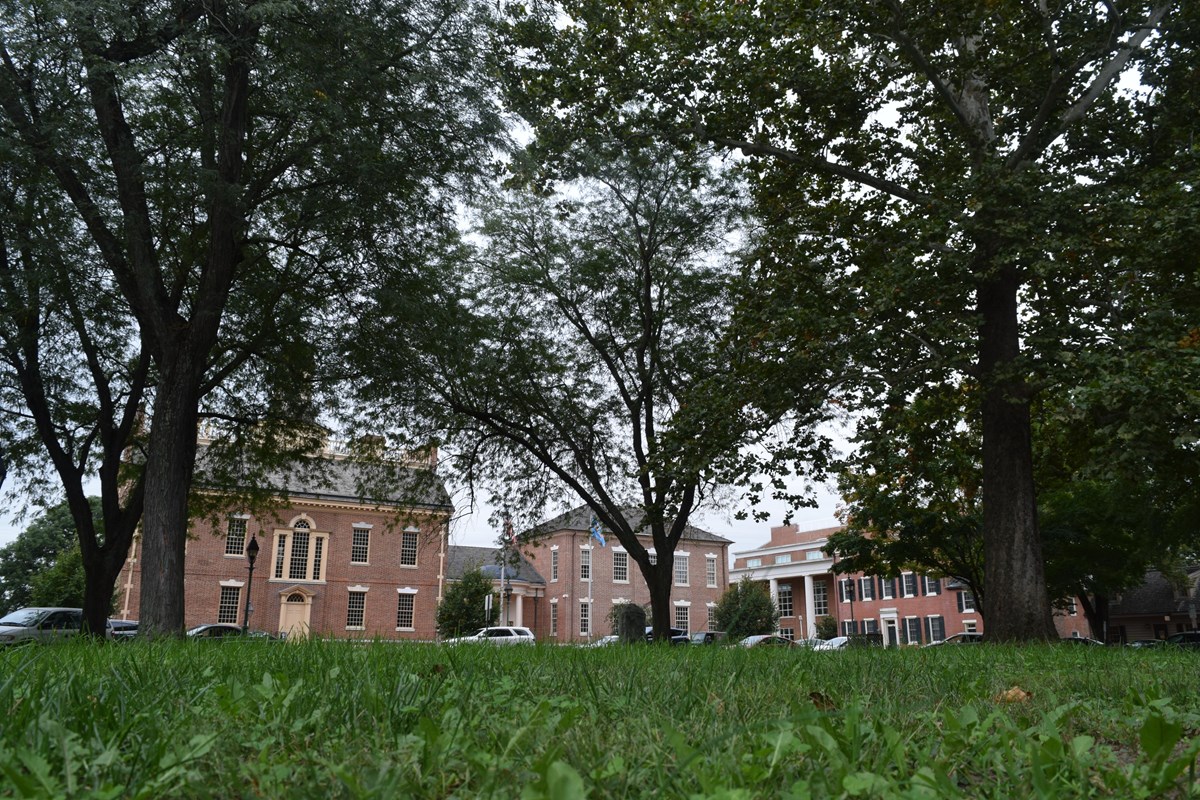 Taken from the grass looking up towards colonial buildings with large trees in front of them.