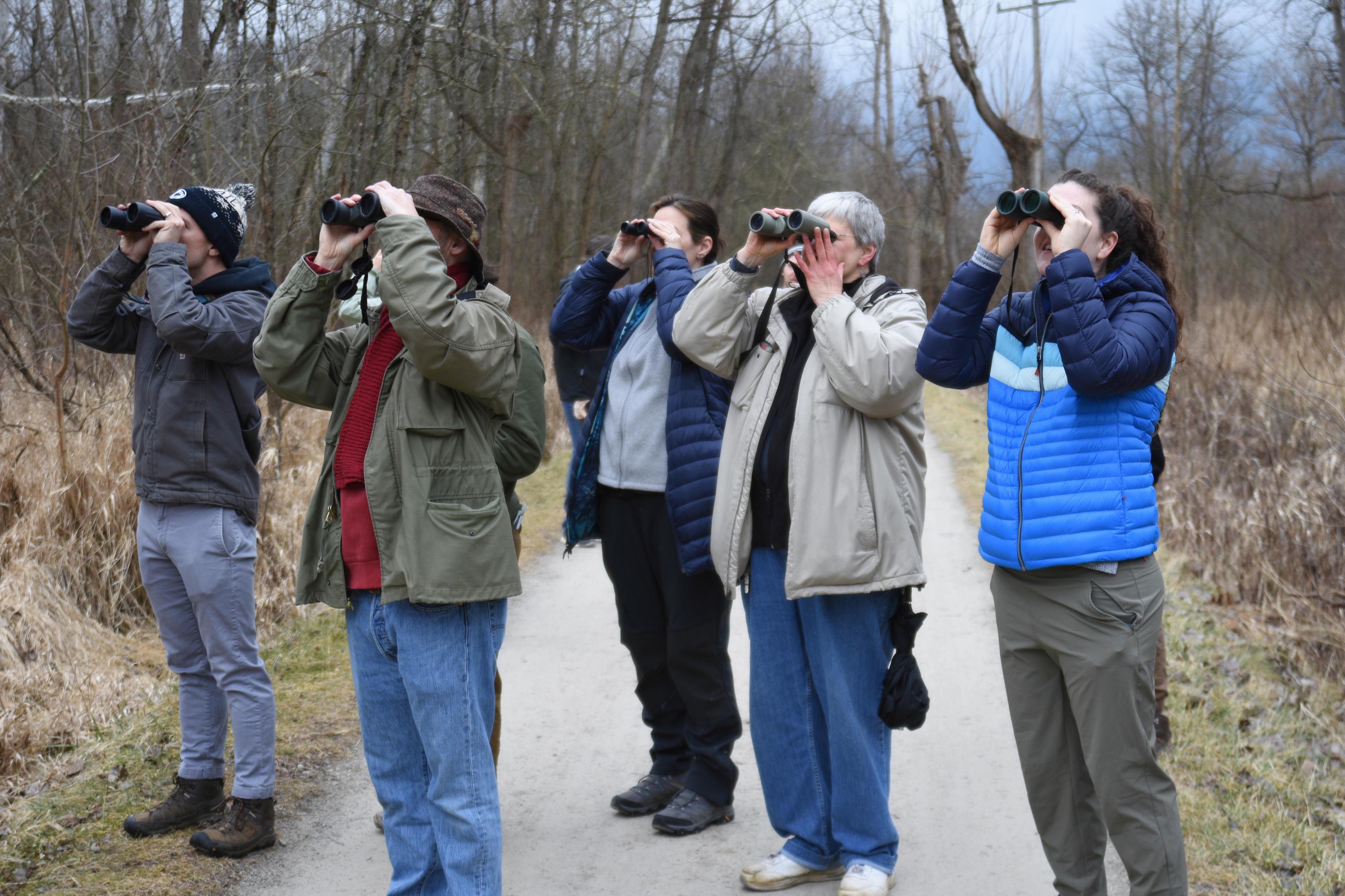 A small group of park visitors look through their binoculars in the same direction.