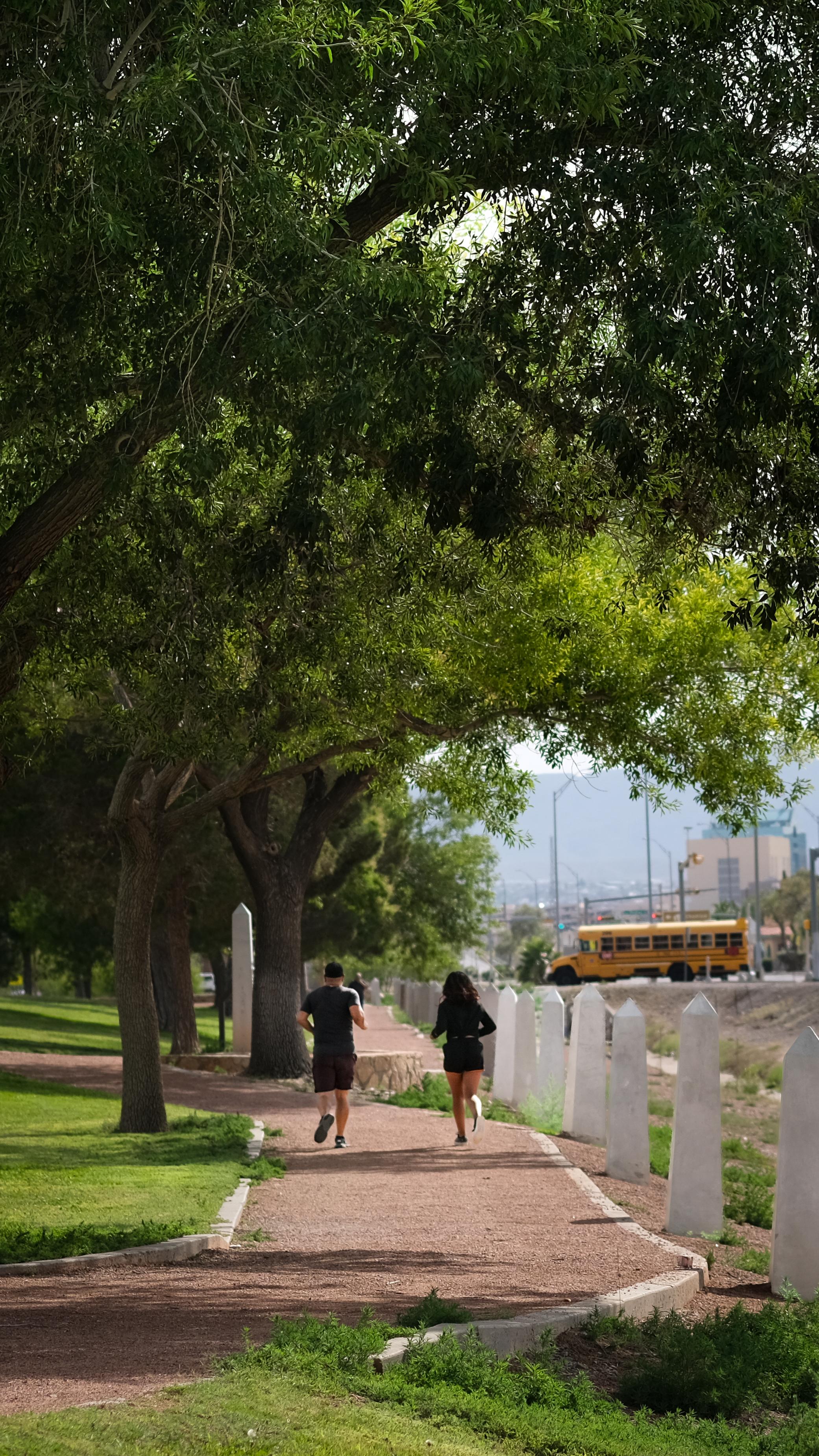 people on a park trail