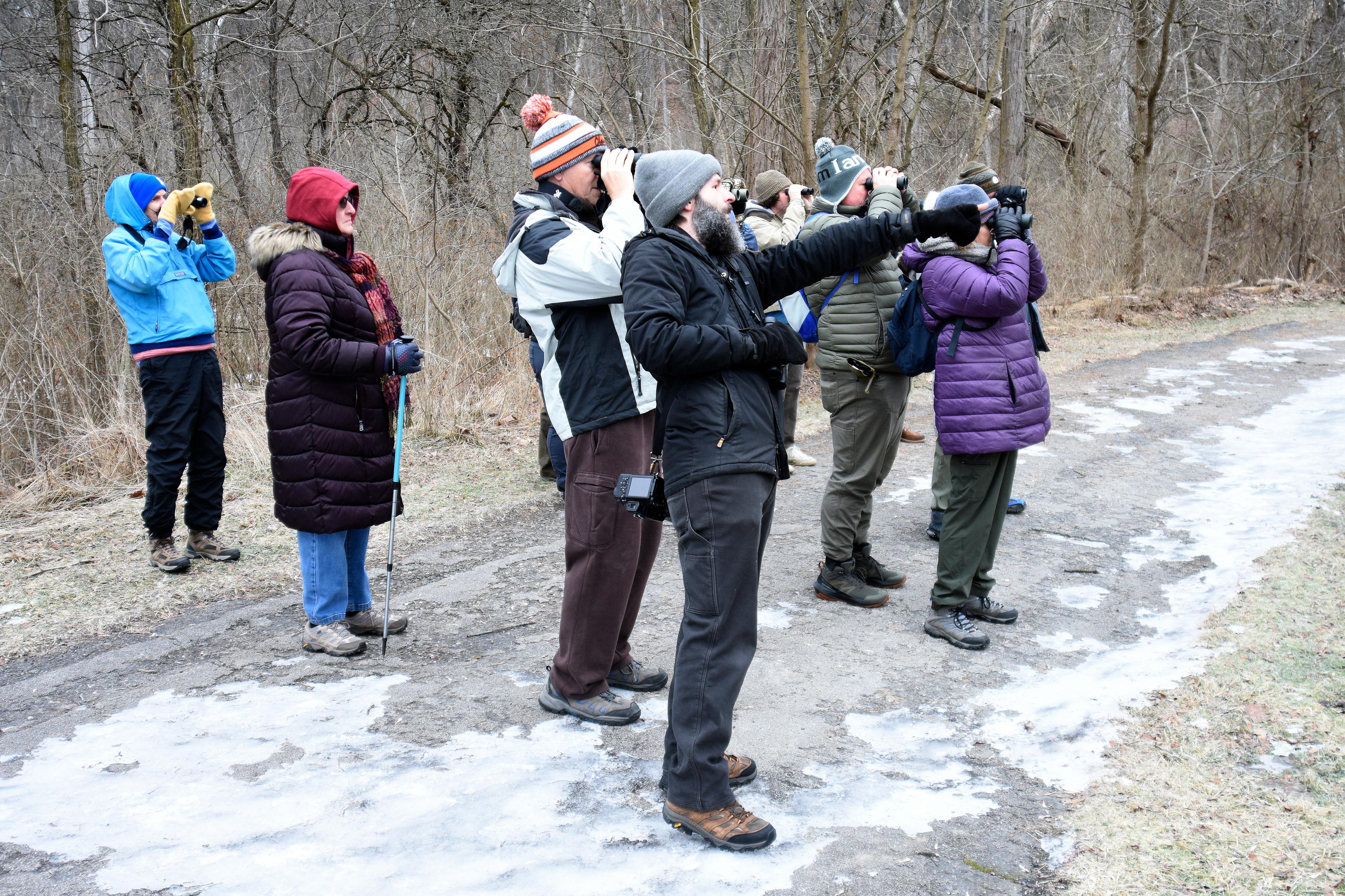 Audubon Christmas Bird Count