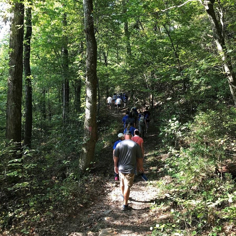 Several visitors hiking away from view on a trail in the woods