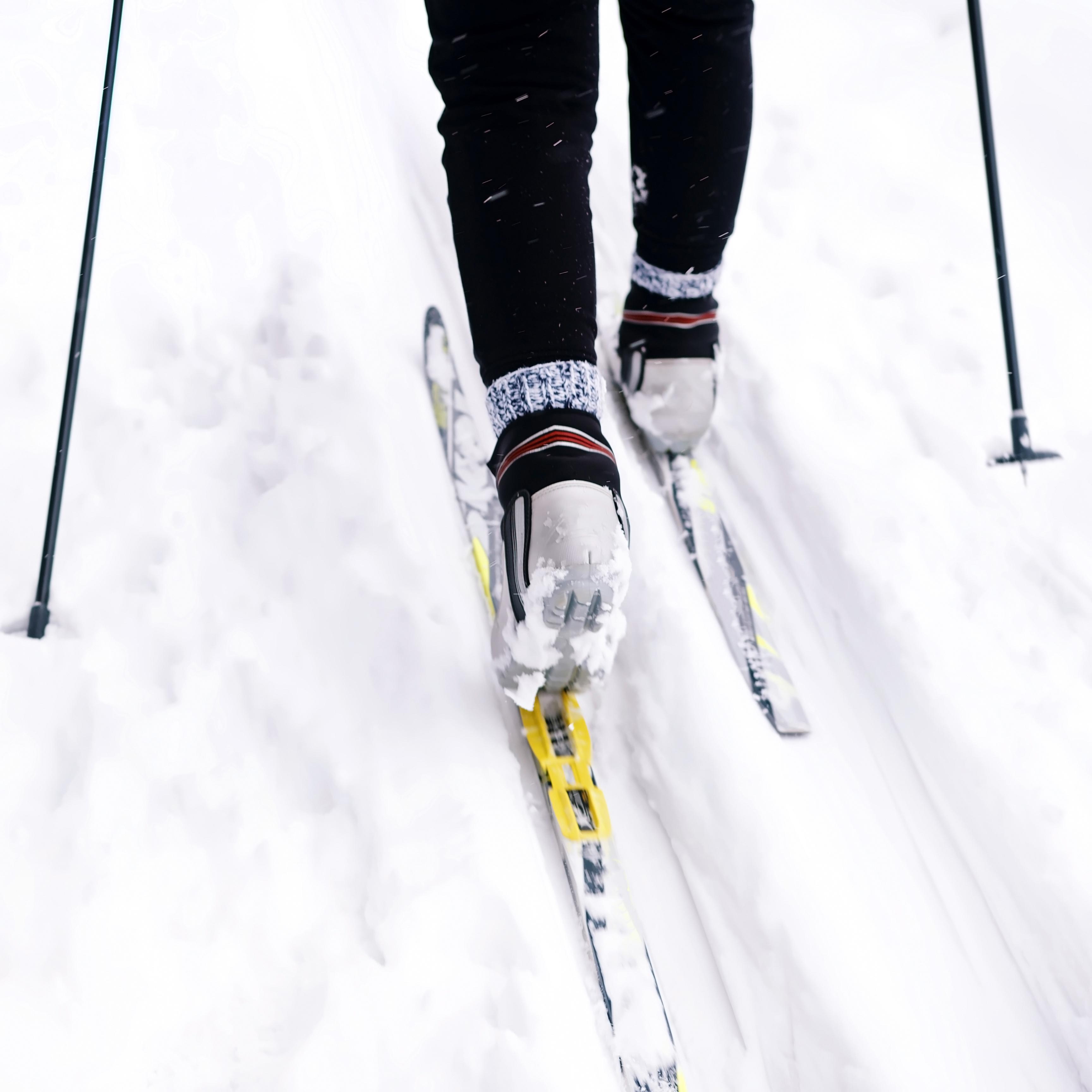 Voyageurs National Park
